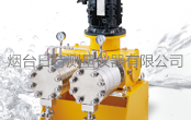 拓科明無(wú)脈動(dòng)泵高壓型號(hào)